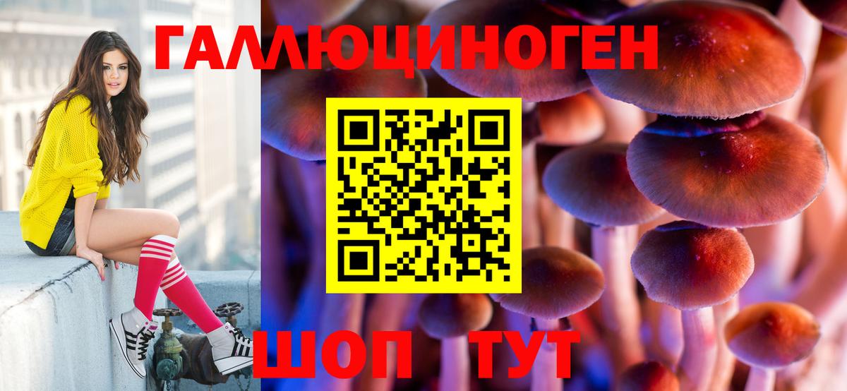 Псилоцибиновые грибы мицелий Мирный